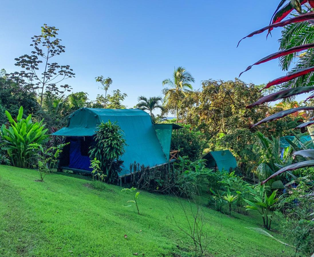 Lodge Caletas