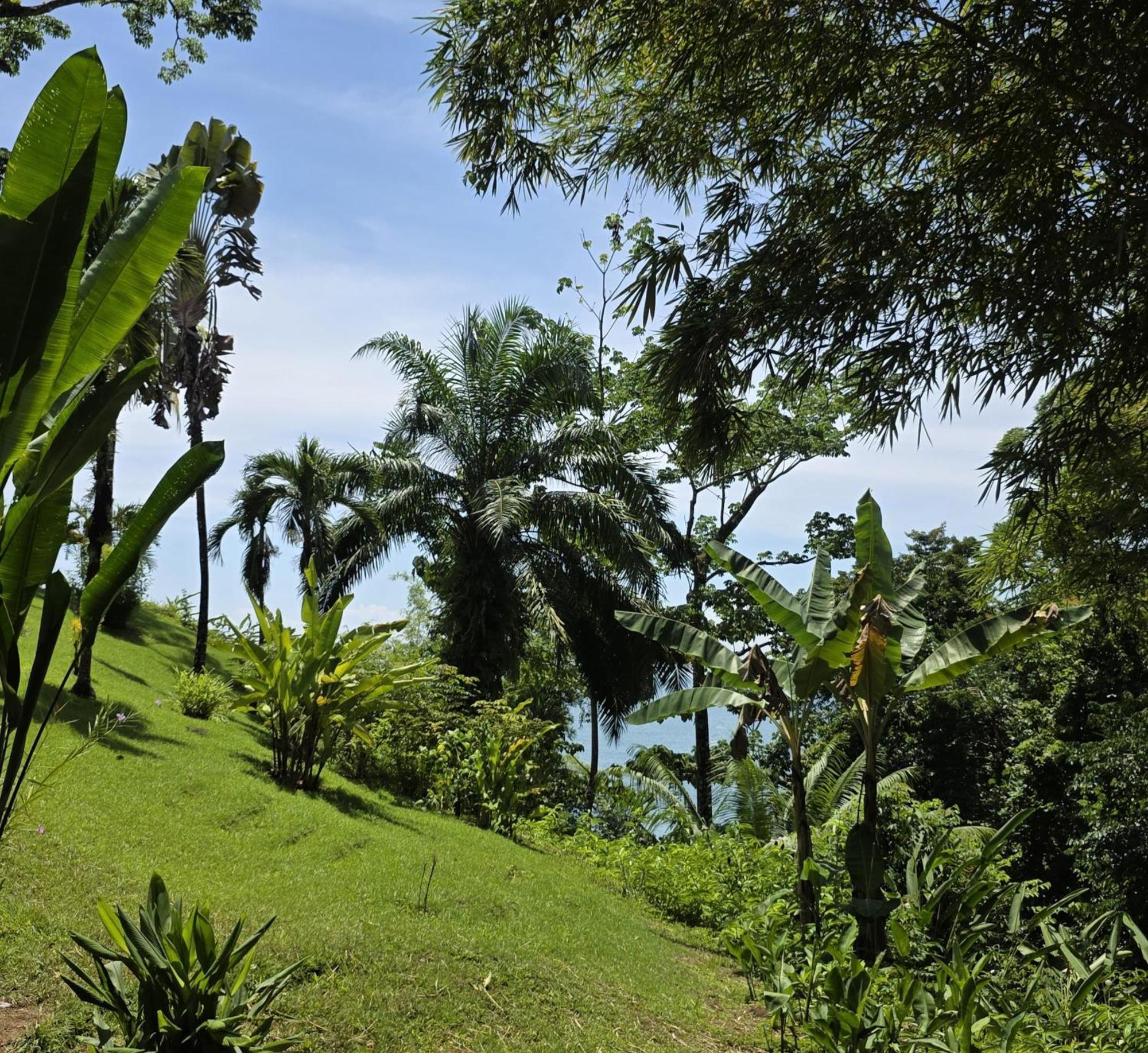 Caletas Lodge